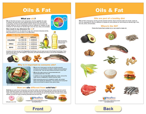 NewPath Learning MyPlate Food Groups Bulletin Board Charts, Set of 8, Laminated, Double-Sided, 12" x 18"