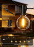 100Ft Dimmable G40 Bulbs, Outdoor String Lights with Remote, Outside Waterproof Light with LED Shatterproof Connectable