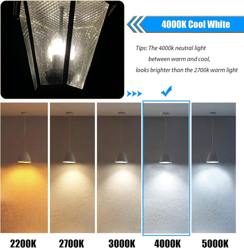 16 Pack Bulbs 40W 4000K B11 4W Bulbs 90 450LM, E12 Non-Dimmable LED Candelabra Equivalent, Cool White, LED Light