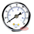 PIC Gauges 102D-158F Center Back Mount Dry Pressure Gauge, 1.5" Dial, 0/160 psi Range