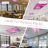 CASYUNE 4pcs 4 2 (Sunset Fluorescent Light Covers - Light Covers for Ceiling Lights Classroom Magnetic Light Filters