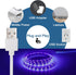 6.6FT/2M 120 395-400nm, 5V 10W LED Black Light Strip - Units LED UV Wick USB DC Flexible Blacklight Fixtures