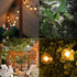 G40 Bulbs,Clear Bulb E12 C7 1.5 Inch 5 Bulbs White-50 Pack Abeja Replacement Light Globe fits Candelabra Screw Base