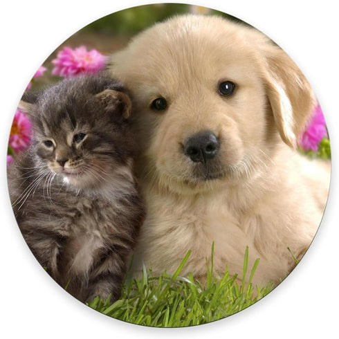 Custom Gaming Round Mouse Pad - Animals Cat Kitten Dog Golden Retriever Puppy