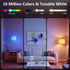 Bulbs, Bulb Home,Preset A19 E26 2.4G Dimmable Bulbs, 60W 800LM, 4 Pack DAYBETTER Smart Light RGBCW Color Changing Smart