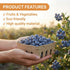 QMNWJMR 15 Pack Natural Pulp Fiber Berry Basket, Small Vented Produce Baskets for Farmers Market Display, Fruit