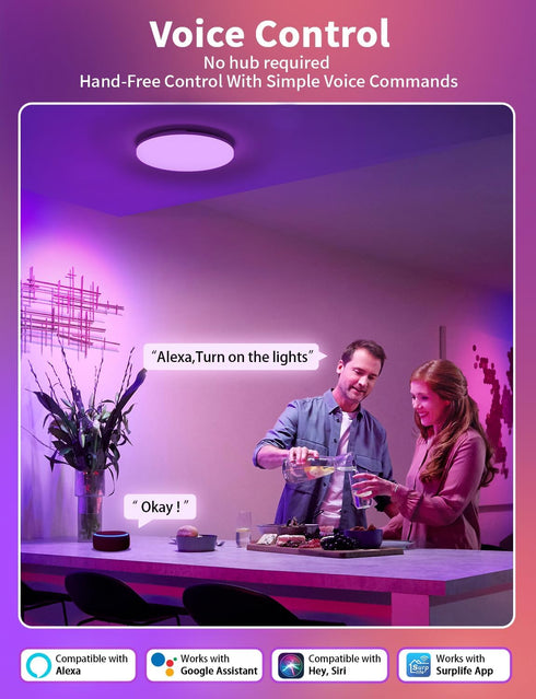 Dimmable 12 Inch Smart LED Ceiling Light Fixture, Modern Flush Mount Ceiling Light, Compatible with Alexa & Google