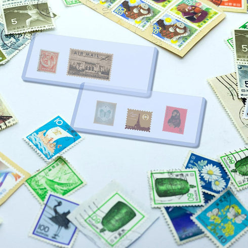Rainmae 50 Pack Hard Plastic Clear Money Holder - 6.8" x 2.9" PVC Transparent Bill Money Top-Load Sleeves Display