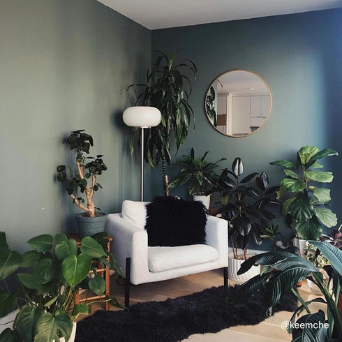 BACKDROP Premium Interior Paint - Large Adhesive Paint Swatch WEEKEND UPSTATE - Dark Green with a Hint of Blue, 12" x