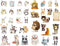 Seasonstorm Kawaii Cute Cats Happy Planner Diary Journal Stationery Scrapbooking Stickers, Travel Art Supplies