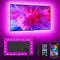 Daymeet TV Led Lights, Led Lights for Backlight for 32-60 inch, 9.8ft