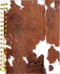Spiral Journal Notebook, A5 College Ruled with Strong Twin-Wire Binding, 60 Sheets for School Office Home Gifts
