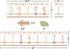 Teacher Created Resources Terrazzo Tones Bulletin Board Number Line (-20 to +120) (TCR7204)