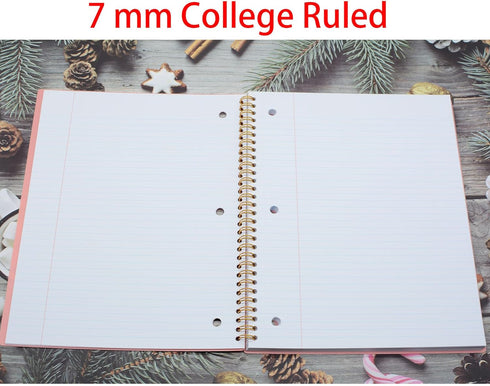 YIKANGHENG Tearable Loose-leaf Spiral Notebook, 2 Pcs, 2 Color, 80 Sheets (160 Pages), 10.5 x 8.27 Inch, Blue and Pink