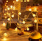WFGGEH Globe String Lights, 10ft 20 LED USB Powered Globe Fairy String Lights