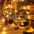 WFGGEH Globe String Lights, 10ft 20 LED USB Powered Globe Fairy String Lights