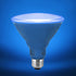 Xtricity LED PAR38 Blue Flood Light Bulbs, 7W, Waterproof, Indoor/Outdoor, E26 Medium Base, Blue (1 Pack)