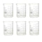 SCIENCENT Glass Beaker 250ml, Set of 6