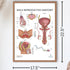 17.3 22.5 Inches, Anatomy Lab Human Male Reproductive System Anatomy Poster, x Anatomical Chart for Education Learning