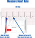 EKG Horizontal Badge 6 Card Set - ECG Telemetry Cards with EKG Ruler, Common Cardiac Findings, STEMI Leads