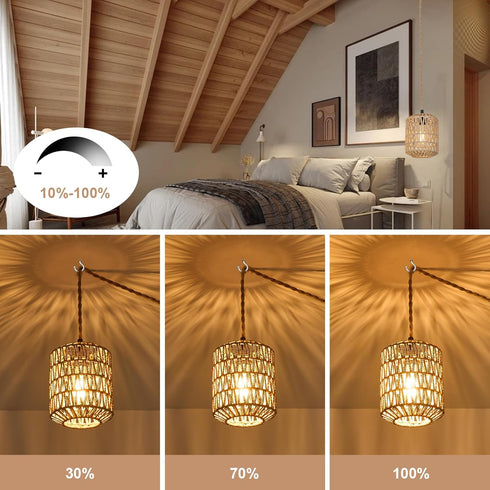 6W Bulb Light(3000K) Dimmable 15ft Plug in Pendant Light with LED Warm Switch Cute Rattan Hanging Lamp Cord Hand Woven