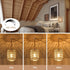 6W Bulb Light(3000K) Dimmable 15ft Plug in Pendant Light with LED Warm Switch Cute Rattan Hanging Lamp Cord Hand Woven