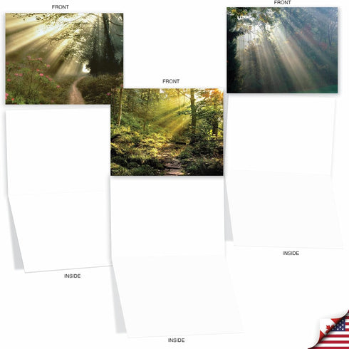 The Best Card Company - 20 Blank Landscape Nature Note Cards (4 x 5.12 Inch) - 10 Designs, 2 Each - Shining Through