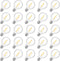 25 Pack G40 LED Replacement Light Bulbs, E12 Screw Base, Waterproof Globe Bulbs for Indoor Outdoor String Lights