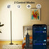 2400 (58-inch) Lumen LED Corner Floor Lamp with APP Control for Pet Rooms, Living Rooms, Bedrooms and Game Rooms