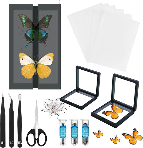 Dddzerong Butterfly Specimen Kit Includes pins, mounting Board, Spreading Tools, Display case, Labels,