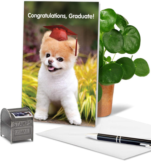 The Best Card Company Graduation Greeting Card with Envelope - Congratulations Graduate Notecard, School, College