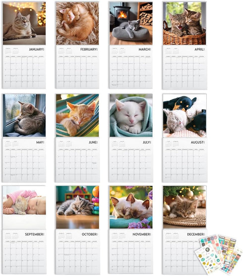 Cat Calendar 2025 with Sticker Pack - Kitten Square Large Wall Calendar 12 x 12 inch, Yearly Cat Lover's Calendar
