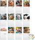 Cat Calendar 2025 with Sticker Pack - Kitten Square Large Wall Calendar 12 x 12 inch, Yearly Cat Lover's Calendar