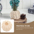 2.75 Inch Set 2 STOBOK Rattan Lamp Shade Small Woven Wicker Light Cover of Decorative Lampshades for Table Lamp Living