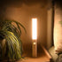 Rushbom 3 Motion Sensor Night Light Creative Rechargeable Color Temperatures Portable Magnetic Wall Reading Light