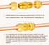 GASHER 5PCS Brass SAE 45 Degree Flare Tube Fitting - 1/2" Flare Nut Air Conditioning Copper Pipe Extension Butt Copper