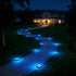 2-in-1 2 Pack) Flacchi Solar Lights Outdoor Waterproof - Solar Powered Ground Lights Outdoor Solar Disk Light Landscape