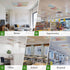 Yomandocix 4x2 feet,4 Pack Classroom,Summer Ice Cream Pig Fluorescent Light Covers for Ceiling Lights Magnetic Light