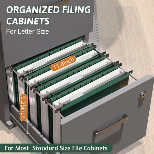 Plastic Hanging File Folder Extra Capacity, 12 Pack Reinforced Hang Folders with Heavy Duty 2 Inch Expansion, Letter