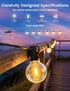 50FT 18+1 G40 Bulbs, 3 Dimmable Brightever Solar String Lights Outdoor with Remote, LED Shatterproof Lighting Modes