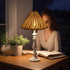 2PCS CHGCRAFT Empire Clip-On Chandelier Lamp Shades Cone Rattan Lamp Shades Replacement Clip on Lamps Shade for Floor