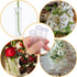 Generic (100pcs) Tubos para Flores Naturales, Tubos para Flores Naturales para Pastel, Water Tubes for Flowers, Flower