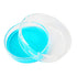 Borosilicate Glass Petri Dish with Lid, Tissue Culture Dish (60 mm, Pack of 20)