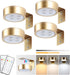 KELUOLY 4-Pack Picture Light Battery Operated Painting Lights for Wall, Magnetic LED Display