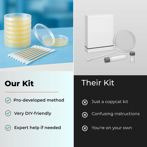 Teton Environmental, Inc. 10 Mold Test Kit Test Different Areas in Home, Swab Sample and Air Sample, Easy-to-Use Guide
