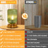 7500mAh Dimmable Bulb LightRound Cordless Table Lamp for Bedroom, Rechargeable Battery Operated Lamp, Modern Touch
