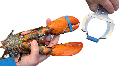AirFly 1" 0.5" Crab and Lobster Claw Bands - Size x - FDA-Compliant Silicone - Cook Safe, Non-Latex, Non-Toxic - Fits