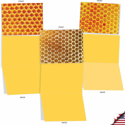 The Best Card Company 10 Assorted Blank Notes Box Set 4 x 5.12 Inch with Envelopes (10 Designs, 1 Each) - Boxed