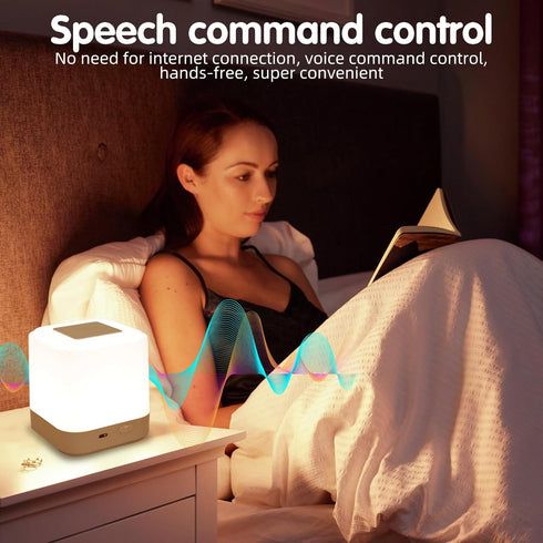 LIPKAHH Dimmable Touch Lamp for Nightstand,Speech Control Bedside Lamp Touch Control for Bedrooms,Smart Rechargeable