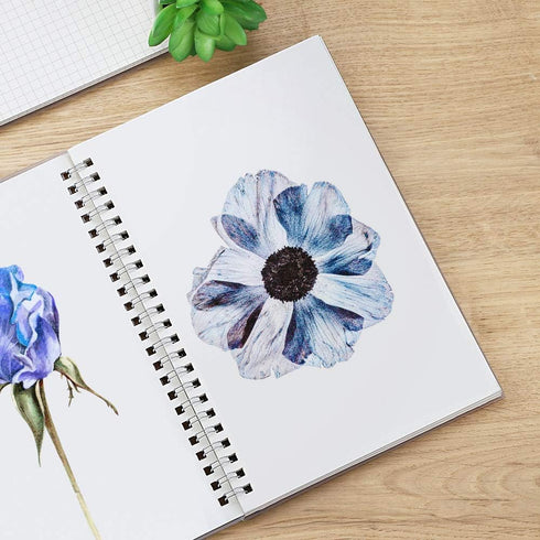 RETTACY Blank Journal Notebook 2-Pack - B5 Blank Spiral Notebook with 160 Pages per Pack, 100 GSM Premium Acid-Free